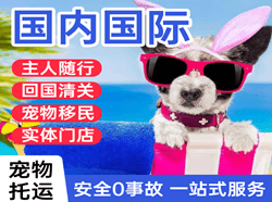 梅州空运公司国际宠物托运 【国